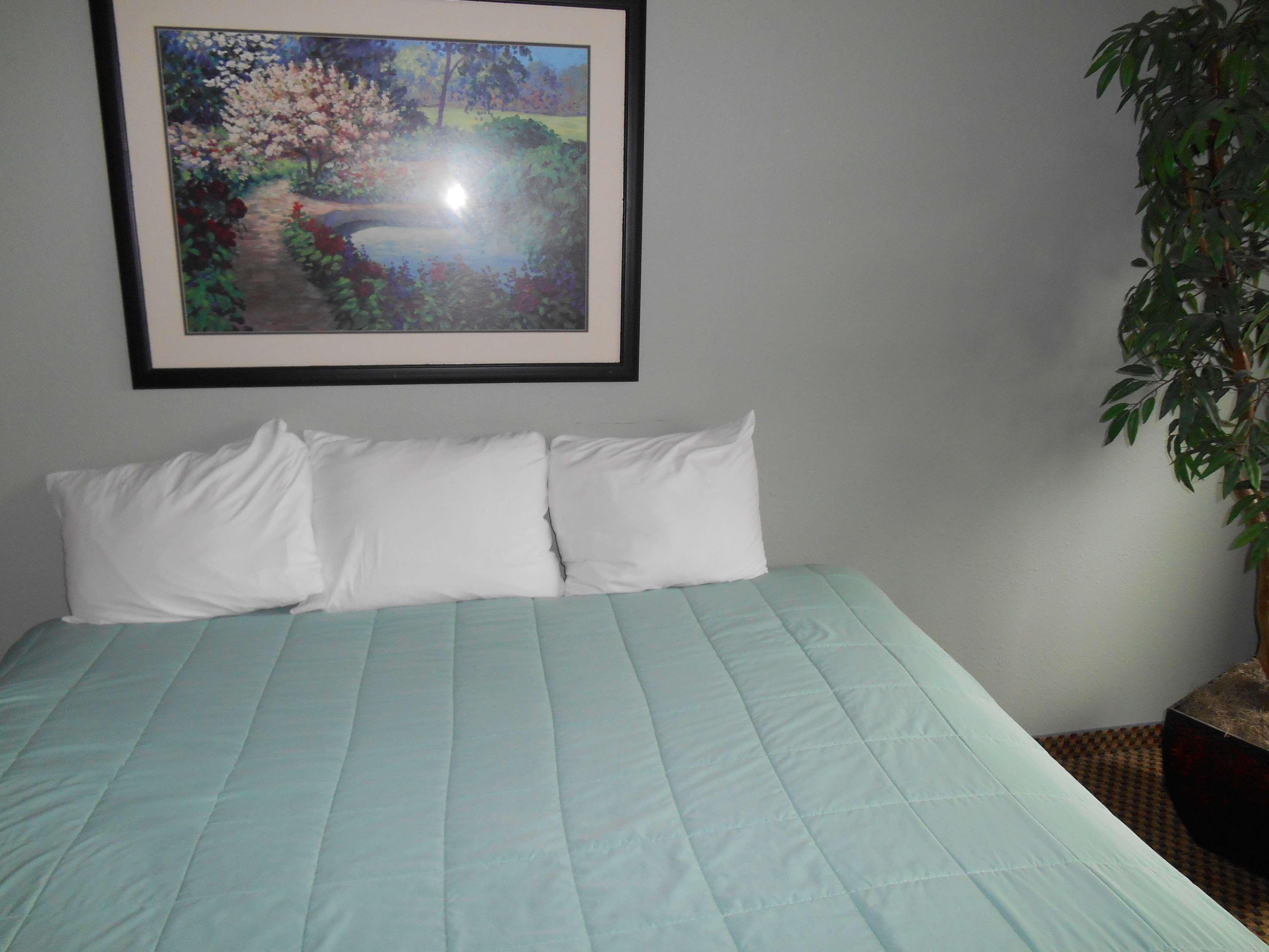 Guesthouse Inn & Suites Eugene/سبرينجفيلد المظهر الخارجي الصورة